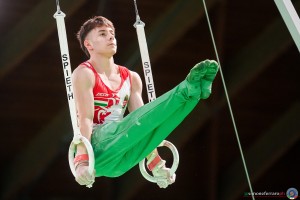 kis dominik hun sfe03441 copia simone ferraro ph